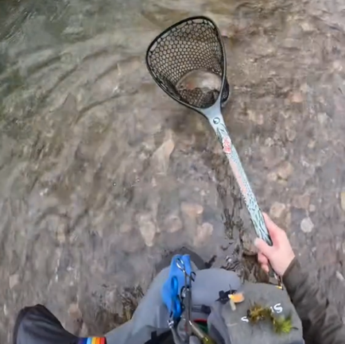 Pêche à la mouche pour l'ouverture de la truite en rivière