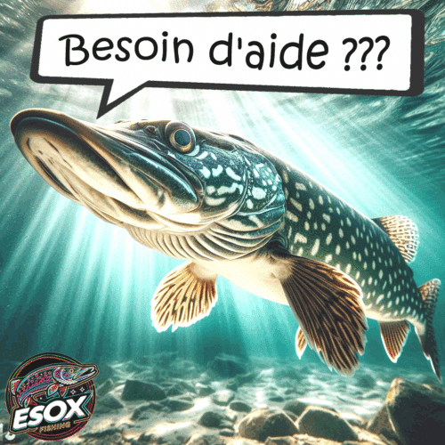 Brochet chassant sous l'eau - pêche aux big baits gros appâts