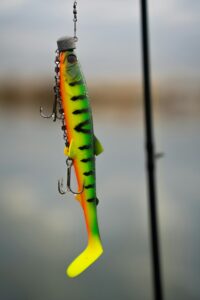 Leurre souple shad coloré fire tiger avec hameçons triples accroché à une canne