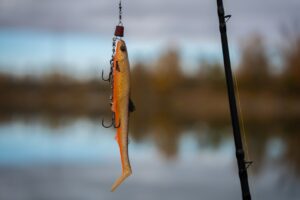 Leurre souple type shad orange avec hameçons triples près d'un plan d'eau